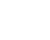 pro-icon1-1